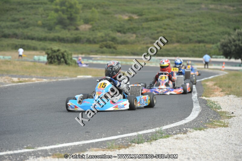 DSC (3633).JPG